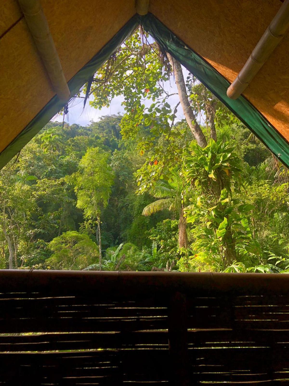 Bed and Breakfast Sitio Simple Life Ubatuba Exterior foto