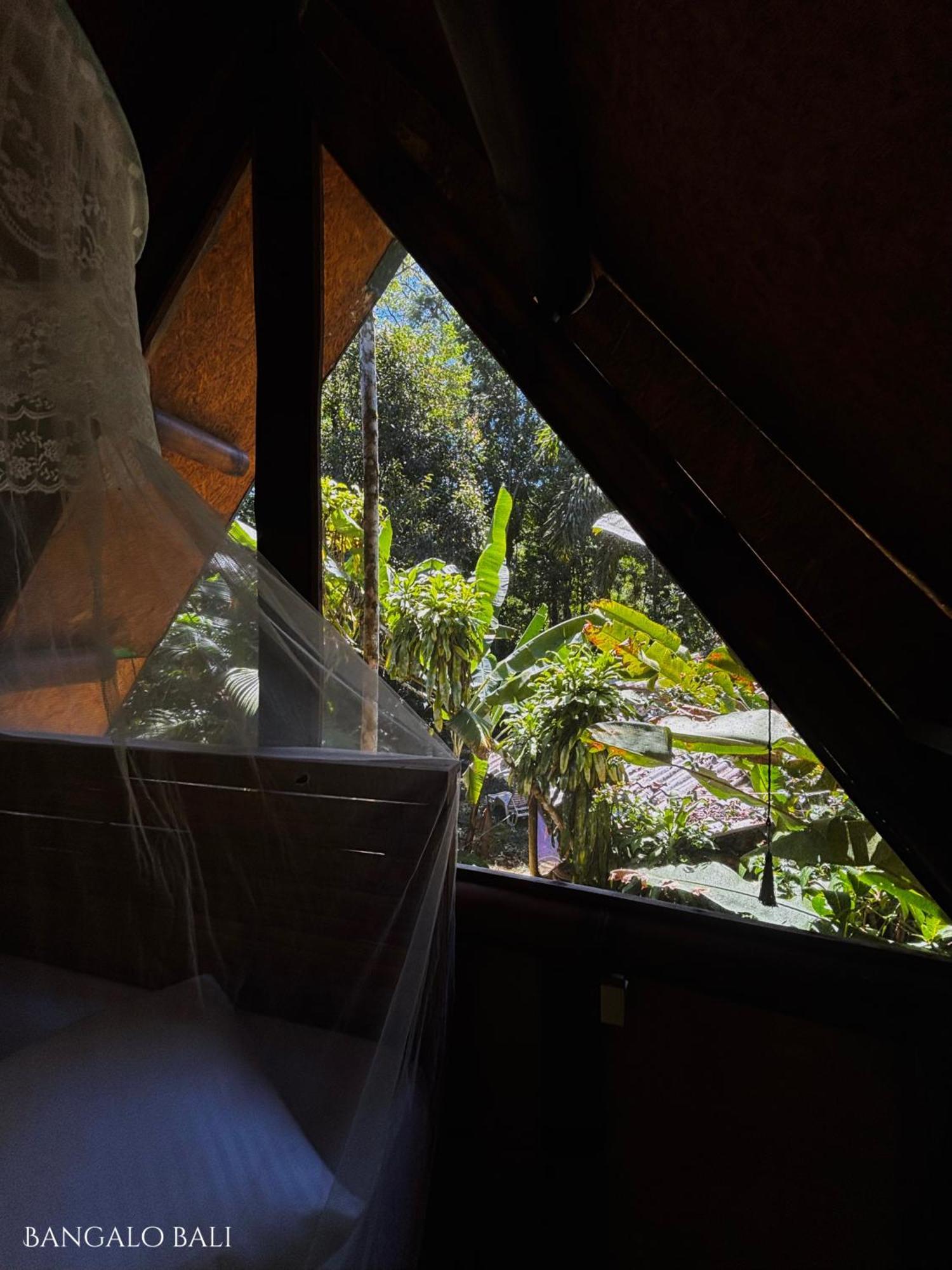Bed and Breakfast Sitio Simple Life Ubatuba Exterior foto